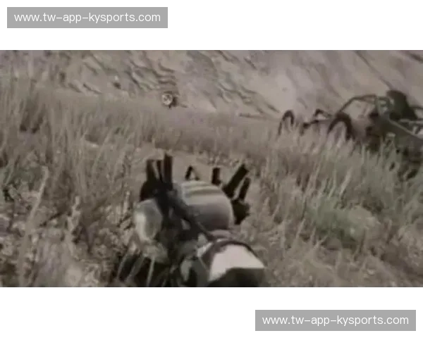 绝地藏獒与冷面杀手：那场撕裂无锡夜空的亚锦赛终极内战